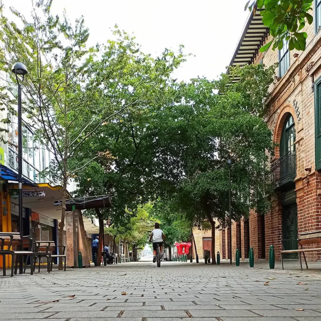 Mejores cosas que hacer en Medellín Colombia (2022): Paseo por la Avenida Carabobo
