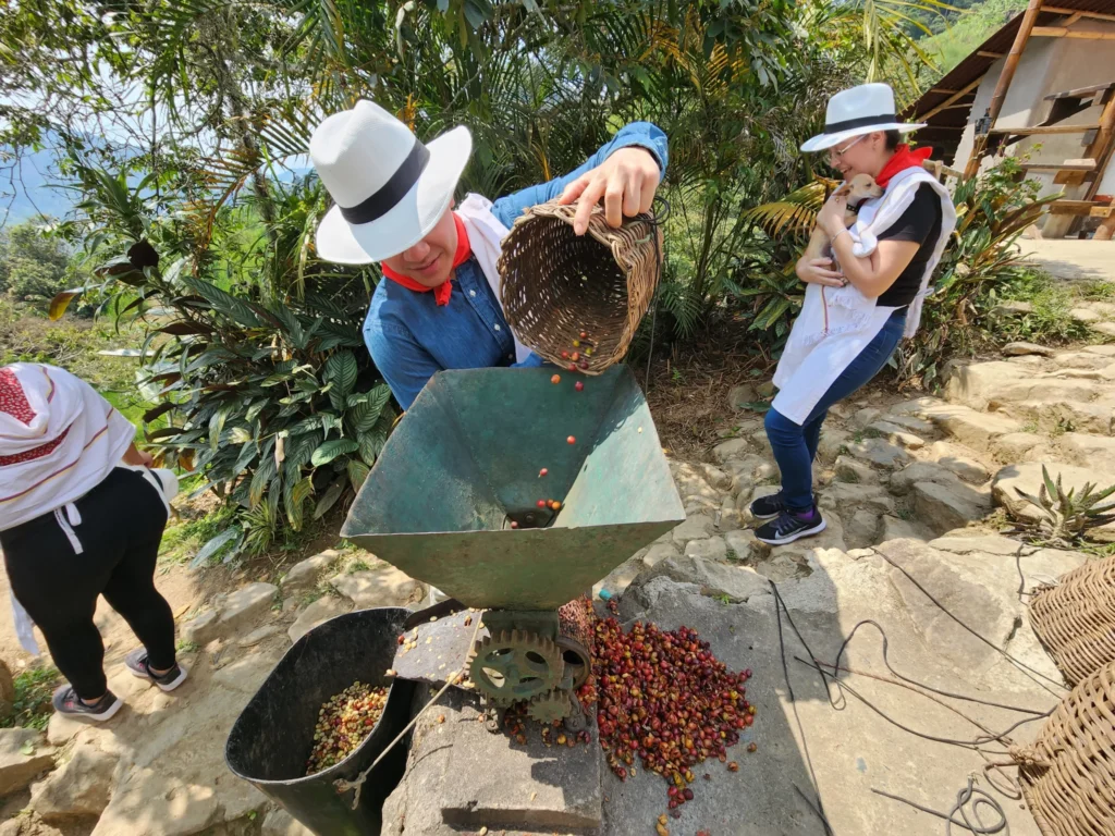 Coffee Tour En Medellín – Experiencia Cafetera Tour Del Café, ¡Atrévete y viajemos el lunes 19 de mayo de 2025!