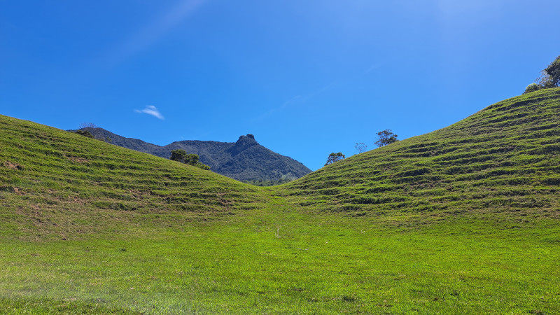 San Carlos Conexion Natural, ¡Empaca tu maleta y vámonos el sábado 21 de febrero de 2026!